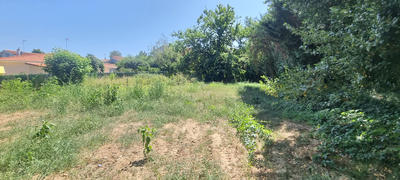 Terrain - 704 m²