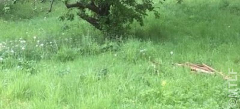 Terrain constructible - 590 m²