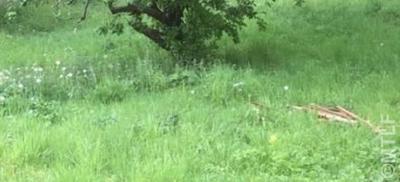 Terrain constructible - 590 m²