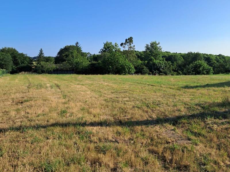 Terrain constructible - 1 923 m²