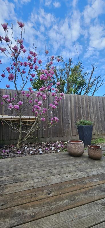 Maison - 77 m² - 4 pièces