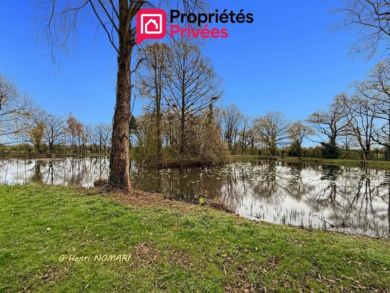 Étang - 12 340 m²