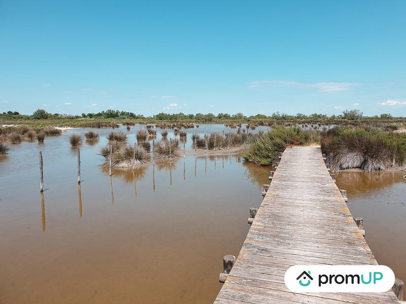 Appartement - 63 m² - 2 pièces