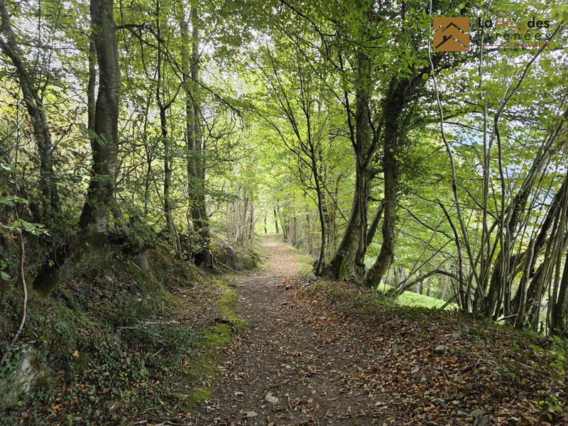 Maison ancienne - 69 m² - 2 pièces