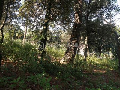 Terrain constructible - 1 246 m²