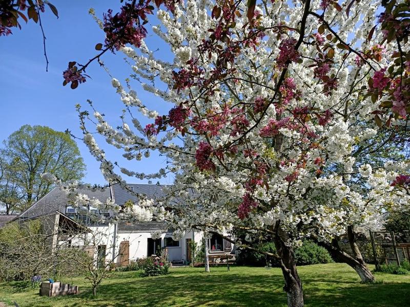 Maison ancienne - 135 m² - 4 pièces