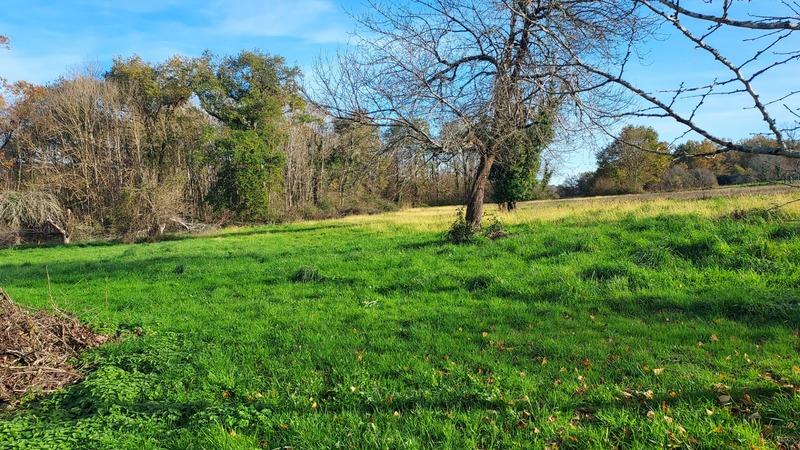 Fermette - 231 m² - 13 pièces