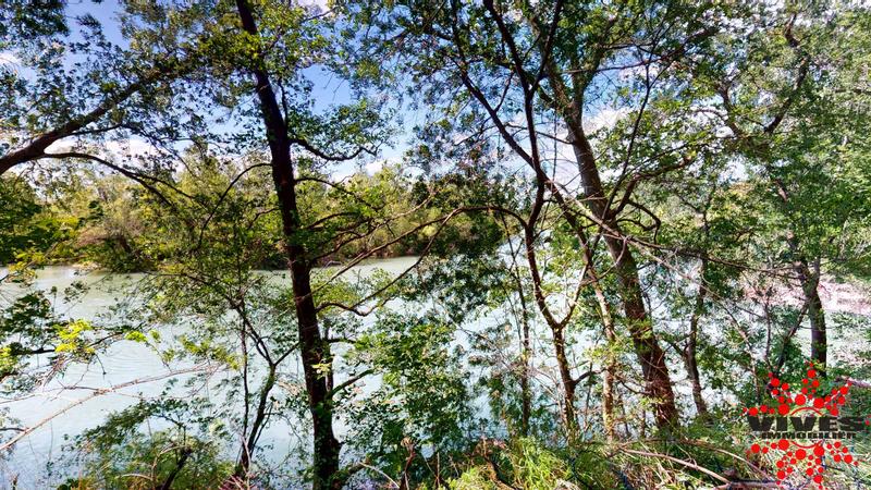 Maison de domaine - 204 m² - 7 pièces