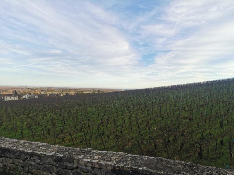 Maison traditionnelle - 50 m² - 3 pièces