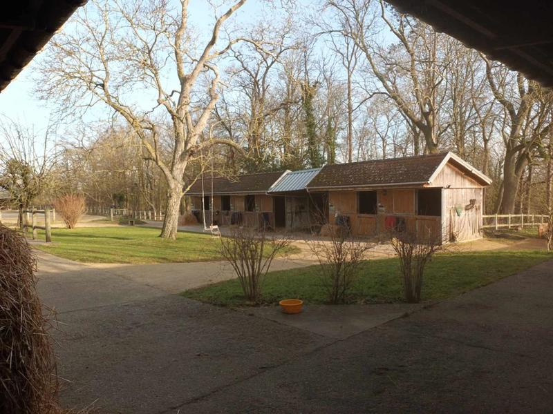 Maison - 395 m² - 14 pièces