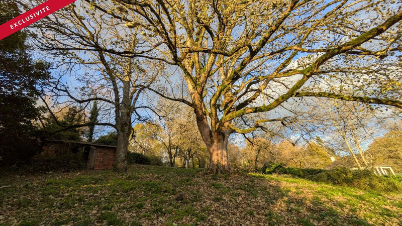 Maison - 230 m² - 8 pièces