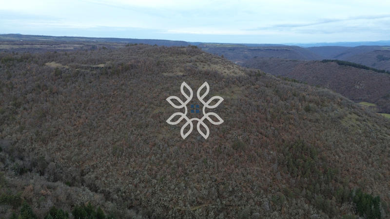 Terrain - 991 287 m²