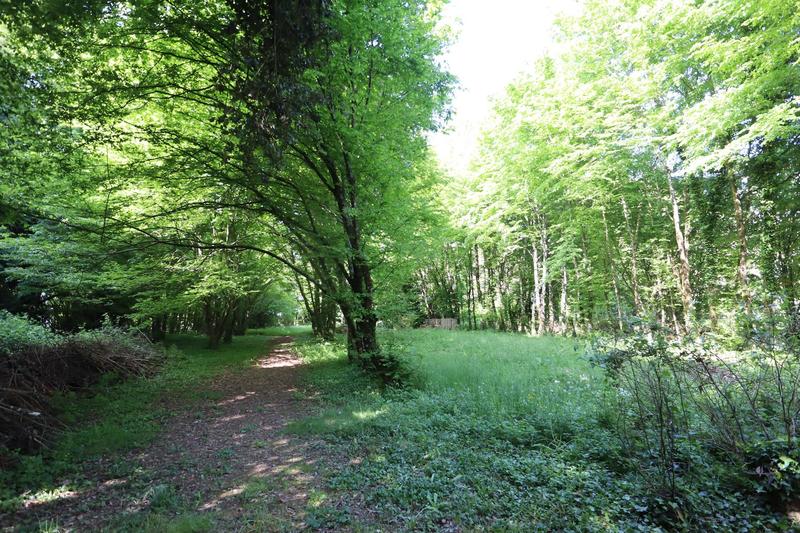 Maison - 218 m² - 8 pièces