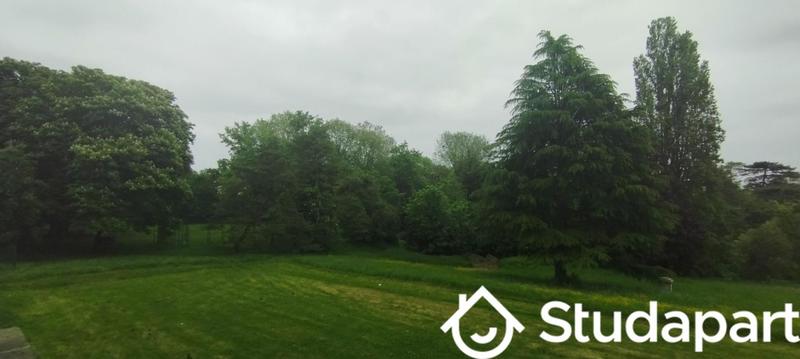 Chambre - 22 m² - 1 pièce