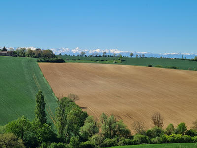 Ferme - 448 m² - 11 pièces