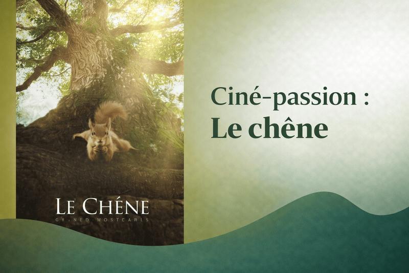 Ciné-passion : le chêne