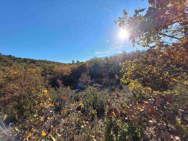 Terrain - 58 900 m²