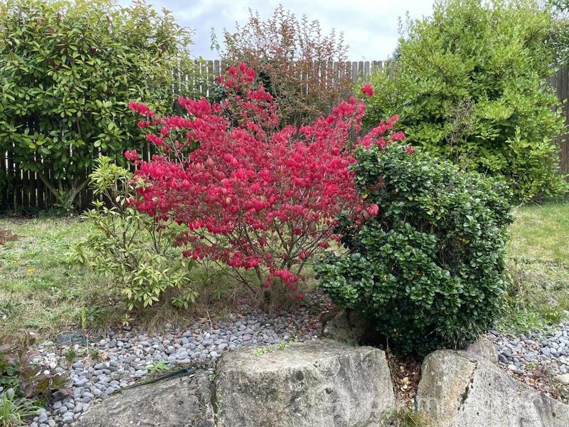 Maison - 132 m² - 6 pièces