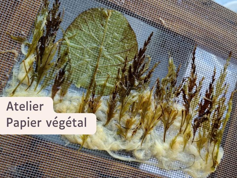 Atelier papier végétal au Moulin du Got