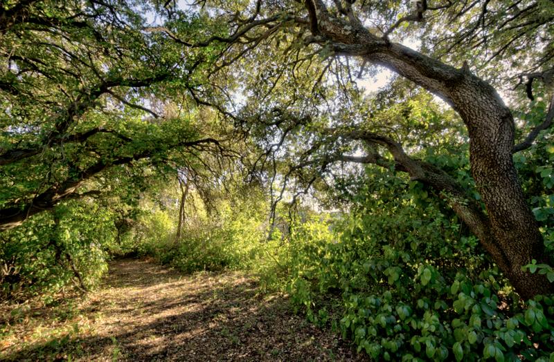 Maison - 67 m² - 3 pièces