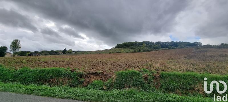 Terrain - 11 000 m²