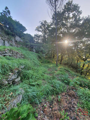 Maison ancienne - 59 m² - 3 pièces