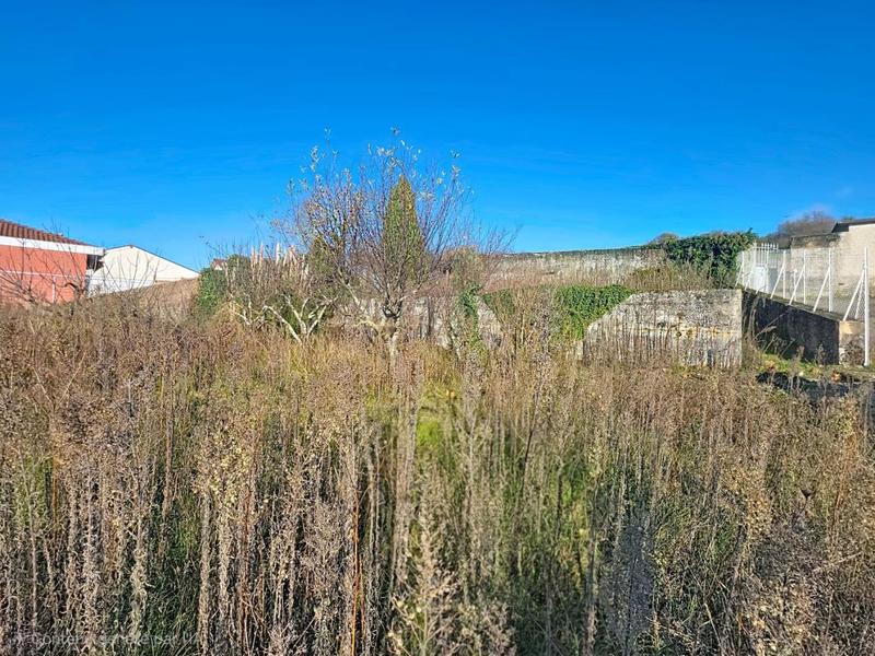 Terrain constructible