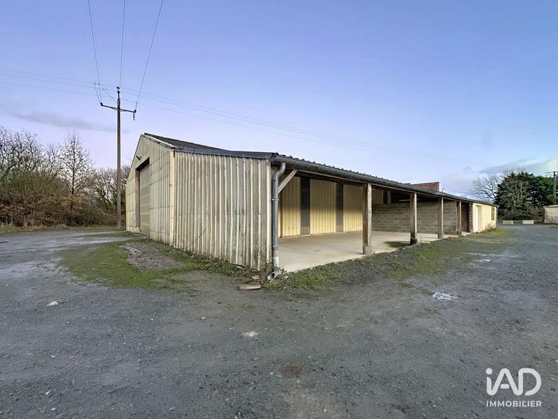 Local commercial - 595 m²