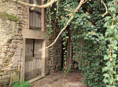 Maison - 100 m² - 2 pièces