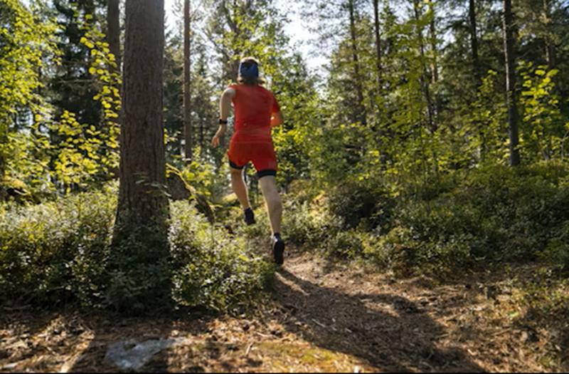 5ème édition Bayac trail