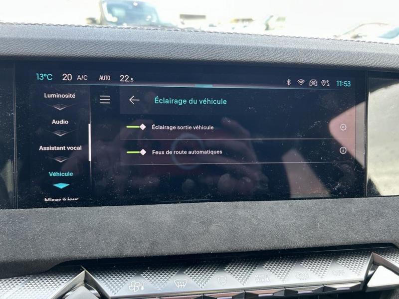 Ds Ds 4 II Bluehdi 130 Performance Line + Auto