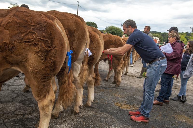 Comice agricole, Château-Chervix en fête!