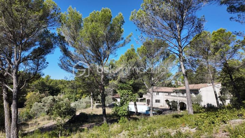 Maison - 300 m² - 4 pièces