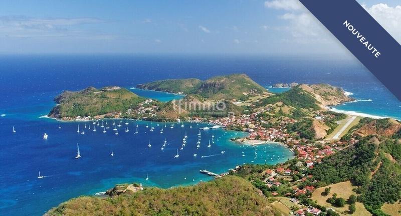 Hôtel particulier - 874 m² - 18 pièces