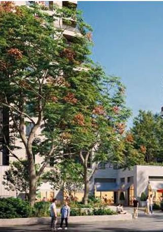 Appartement - 28 m² - 1 pièce