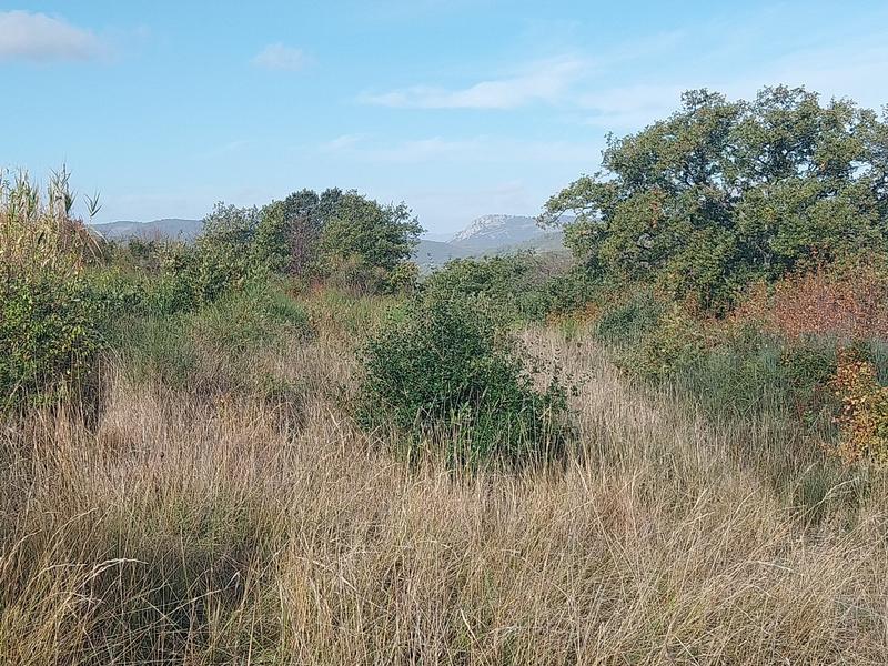 Terrain agricole - 36 175 m²