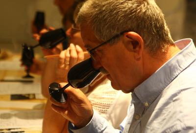 Balade sensorielle dans le vignoble du Rangen : mystères dans le verre !