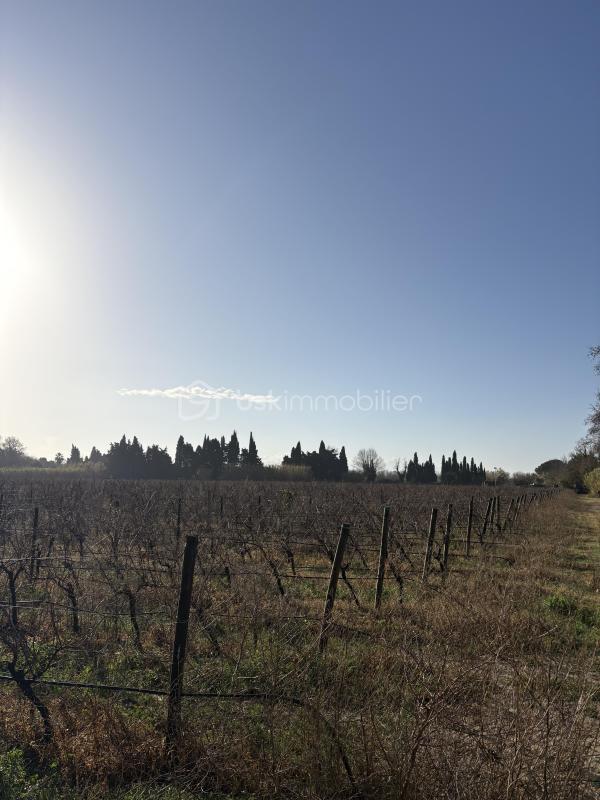 Terrain agricole - 30 676 m²