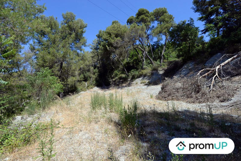 Terrain - 10 000 m²