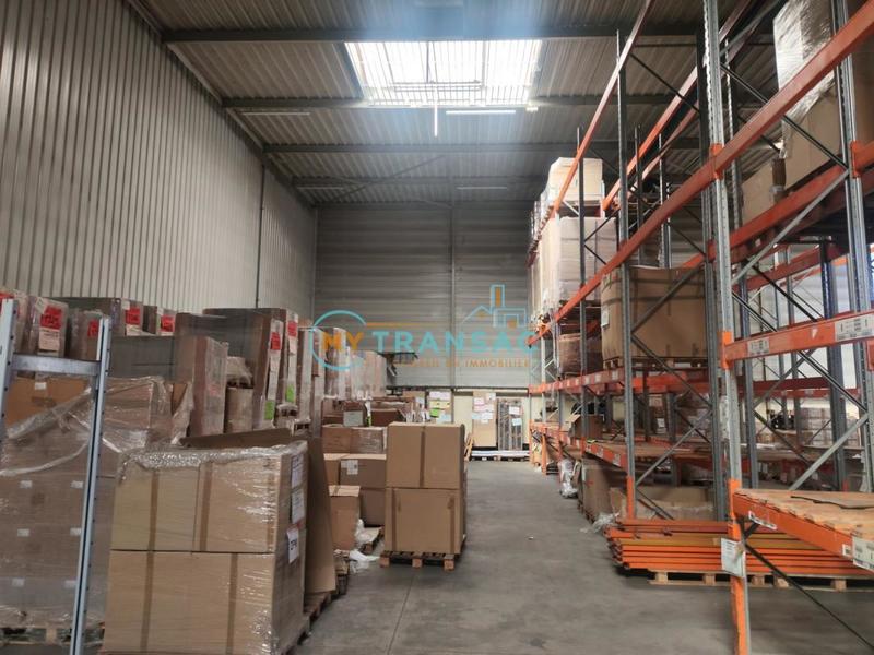 Local d'activité / Entrepôt - 3 699 m²
