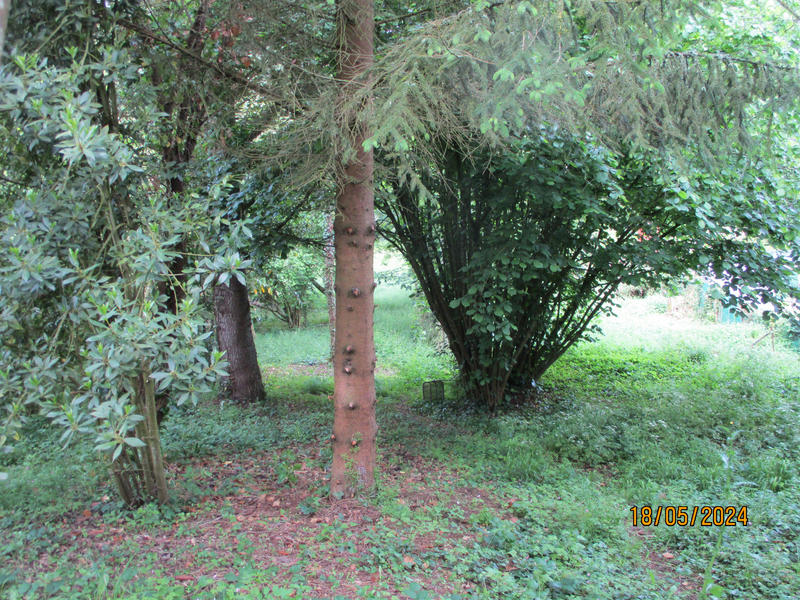 Maison - 262 m² - 9 pièces