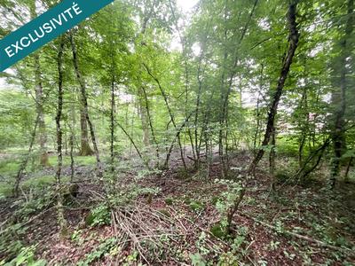 Terrain - 14 771 m²