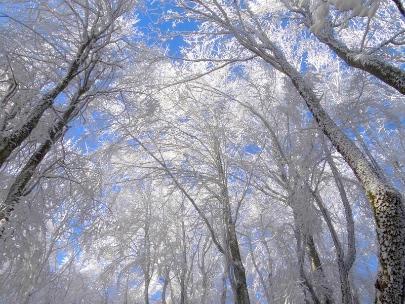 Atelier : construction d'igloo