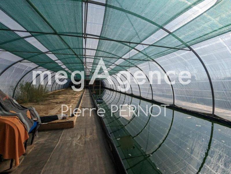 Maison - 460 m² - 9 pièces