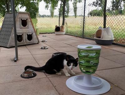 Chatterie Sainte Cyle