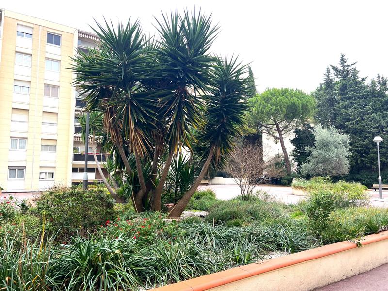 Appartement - 81 m² - 3 pièces