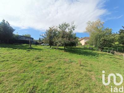 Terrain - 1 207 m²