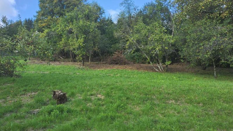 Maison - 286 m² - 10 pièces