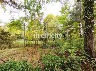 Terrain constructible - 1 419 m²