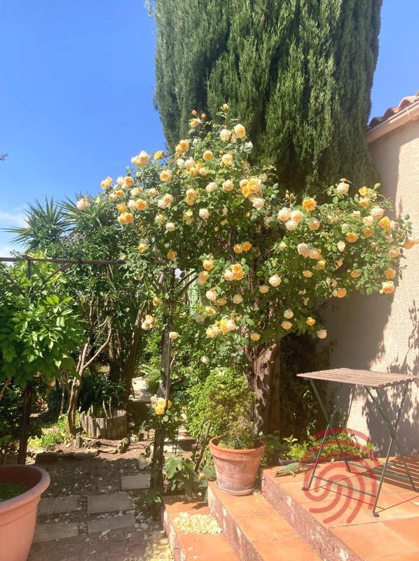 Maison - 105 m² - 4 pièces